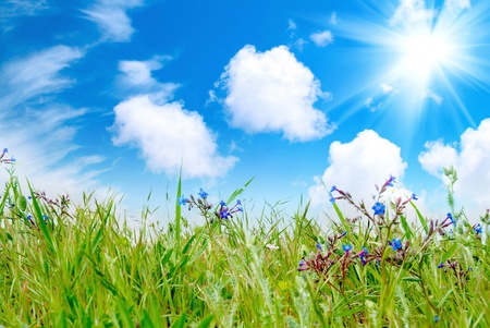 Green grass with cloudy sky in the sunny dayの写真素材