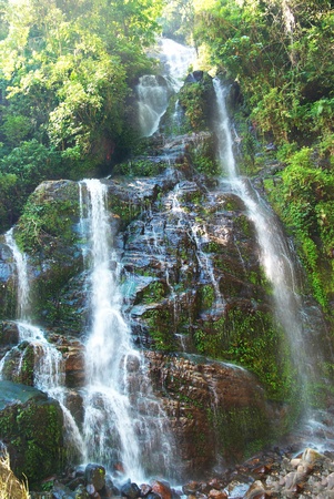 Waterfall in the forest surrounded by green treesの写真素材