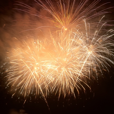Colorful holiday fireworks on the black sky background の写真素材