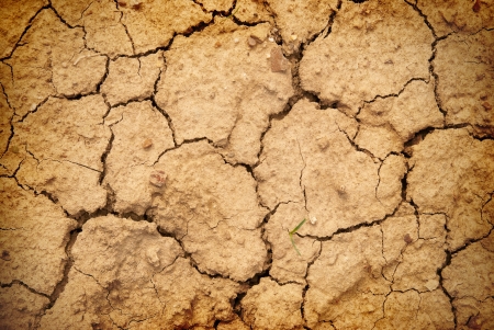 Dry yellow soil in the desert  Texture for backgroundの写真素材