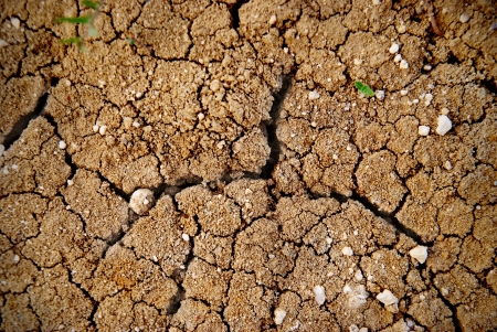 Dry yellow soil in the desert. Texture for backgroundの写真素材