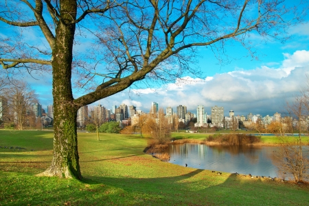 Green park near sea front with skyscrapers on the background. Vancouver, Canada.の写真素材