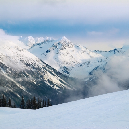 Winter fir trees in mountains covered with fresh snowの写真素材