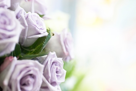 Bunch of violet and purple beautiful rosesの写真素材