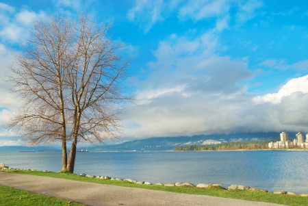 Green park near sea front with skyscrapers on the background. Vancouver, Canada.の写真素材