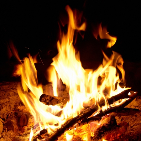 Red bright campfire with the black backgroundの写真素材