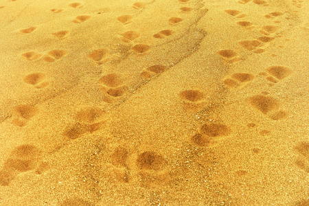 Footprints on sand at the beachの写真素材