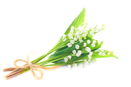 Bouquet of white flowers lilies of the valley isolated on white の写真素材
