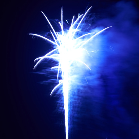 Blue colorful fireworks on the black sky 