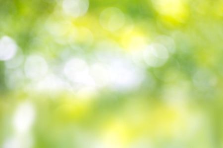 Green and yellow light spots can be used for backgroundの写真素材