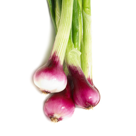 Bunch of young onions isolated on whiteの写真素材