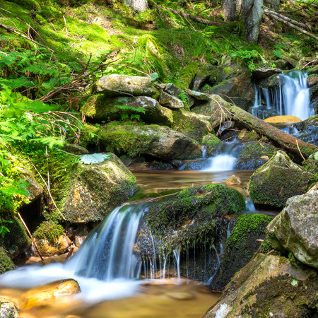 Beautiful waterfall in the green forest. Cascade of motion waterの写真素材
