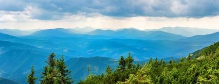 Blue mountains covered with green forest. Panorama view of peaks ridgeの写真素材