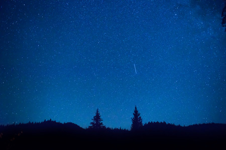 Dark blue night sky above mystery forest with pine treesの写真素材
