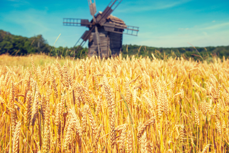 Mill on the wheat field with blue skyの写真素材
