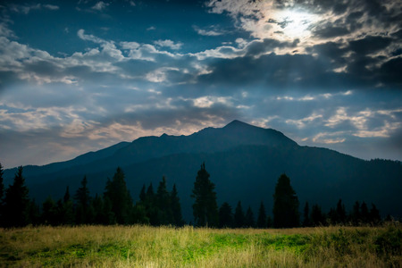 Green grass on a lawn near blue mountain at night with moon lightの写真素材