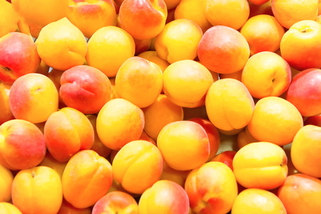 Many fresh ripe apricots on farm market. Fruit background の写真素材