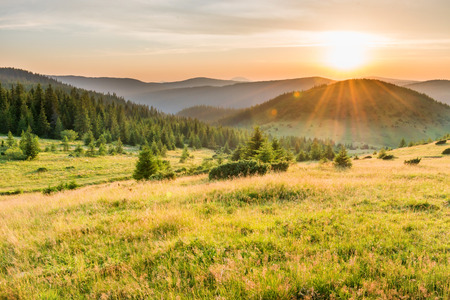 Sunset in the mountains with forest, green grass and big shining sun on dramatic skyの写真素材