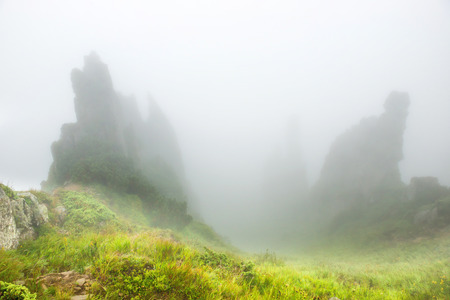 Mist in the mountains with peaks of rocks and wet grassの写真素材