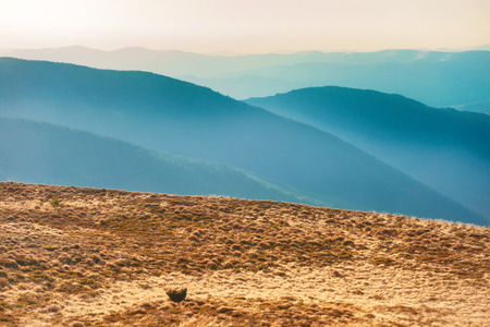 Sunset in the mountains. Field with yellow grass and orange skyの写真素材