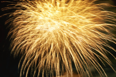 Red colorful fireworks on the black sky background