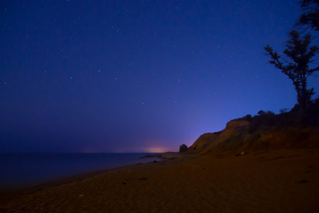 Big tree on a beach under blue dark sky with many bright stars.の写真素材