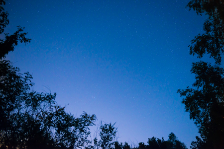 Sunset and night dark blue sky in forest with bright stars as space backgroundの写真素材