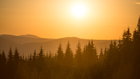 Panorama of sunset in the mountains with forest and big shining sunの写真素材