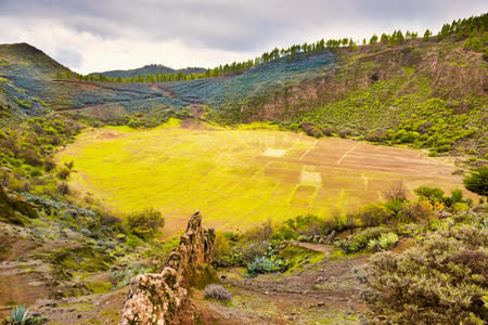 Lanscape with cultivated fields in valley between mountains at Canary islands. Gran Canaria, Spainの写真素材