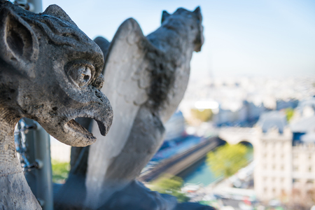 Gargoyle statue on Notre Dame de Paris cathedral in Franceの写真素材