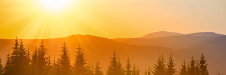 Panorama of sunset in the mountains landscape with forest and big shining sunの写真素材