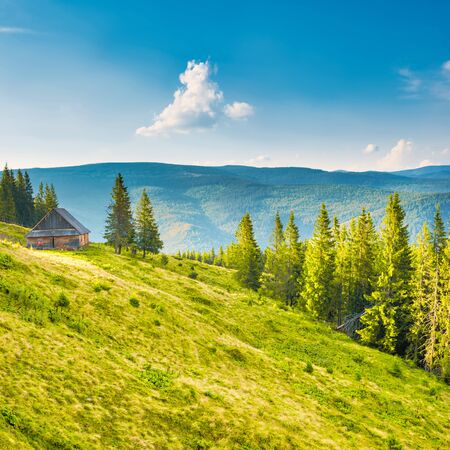 Green mountains with house in pine forest at sunset sun lightの写真素材