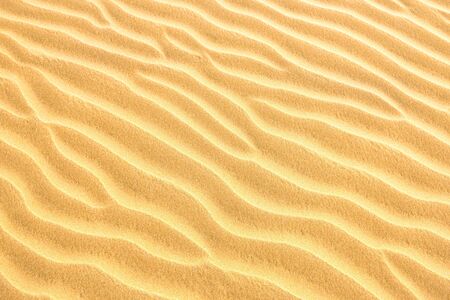 Texture of yellow desert sand dunes. Can be used as natural backgroundの写真素材