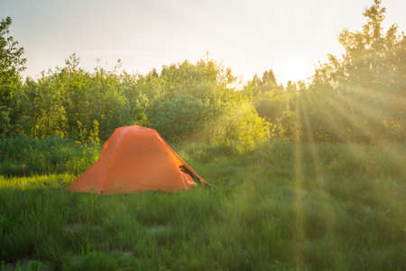 Orange tent camping at sunset in forest and green grass field and sun raysの写真素材