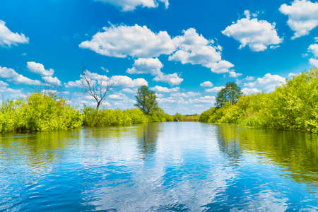 River landscape and green forest with trees blue water clouds on skyの写真素材