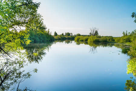 River landscape and green forest with trees blue water clouds on skyの写真素材