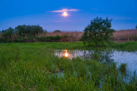 Blue lake landscape at night with full moon on blue dark skyの写真素材