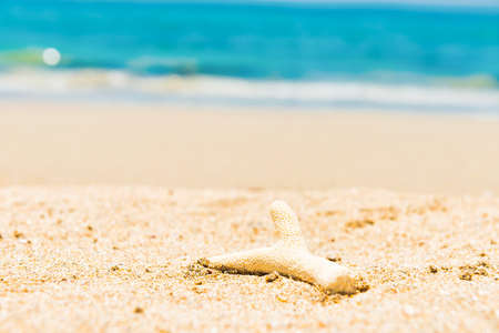 White coral on sand beach and blue water as summer holiday backgroundの写真素材
