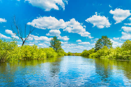 River landscape and green forest with trees blue water clouds on sky