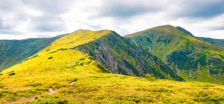 Mountain peaks panorama landscape and green grassの写真素材