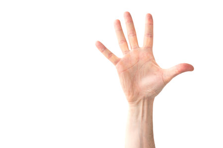 Woman open hand and five fingers isolated on white backgroundの写真素材