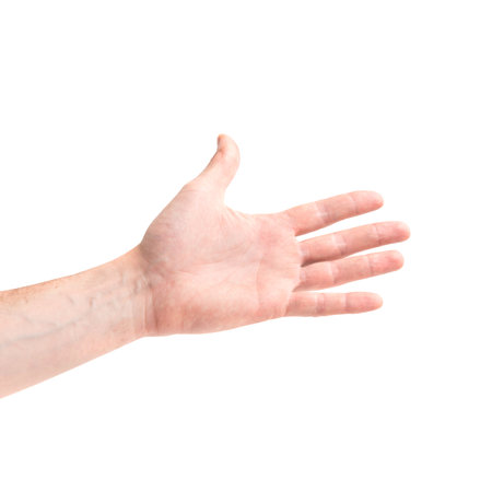 Hand for handshake isolated on white backgroundの写真素材