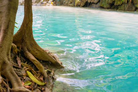 Tropical tree roots in green water of flowing stream in Erawan National park, Thailandの写真素材