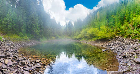 Forest misty blue lake panorama in autumn fall mist pine forest