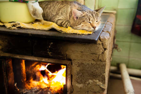 Cat sleeping on stove fireplace in home roomの写真素材