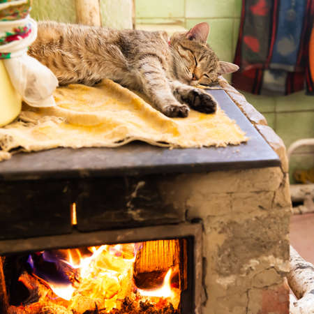 Cat sleeping on stove fireplace in home roomの写真素材