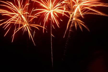 Colorful fireworks on the black sky backgroundの写真素材