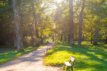 Autumn park and walking people at sunsetの写真素材