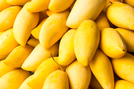 Yellow mango, many mangos on fruit market