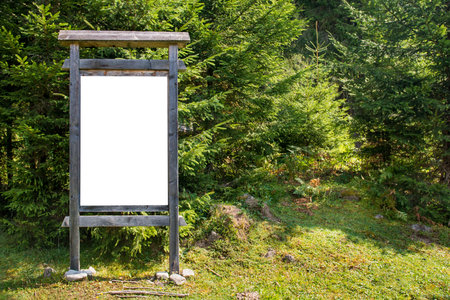 White blank wooden sign board in green forest isolated on whiteの写真素材